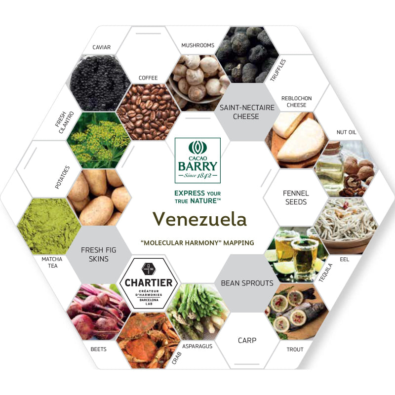 Cacao Barry Venezuela Origin Dark Chocolate - Pairings