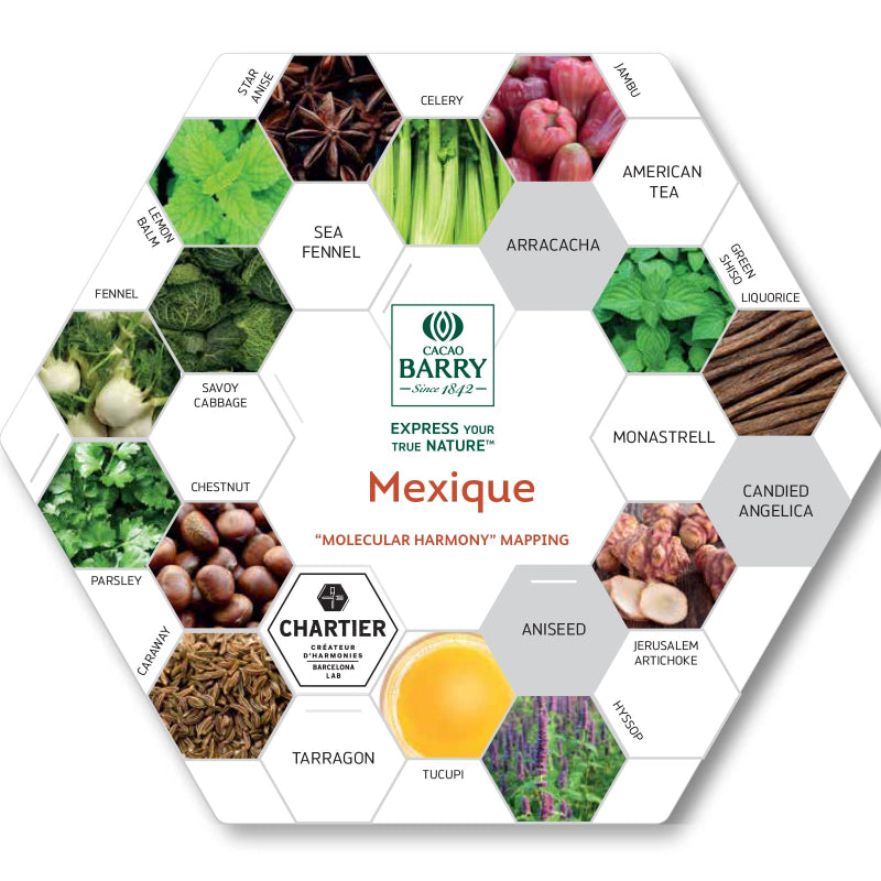Cacao_Barry_Mexique_Origin_Dark_Chocolate_Pairings