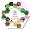 Cacao_Barry_Mexique_Origin_Dark_Chocolate_Pairings