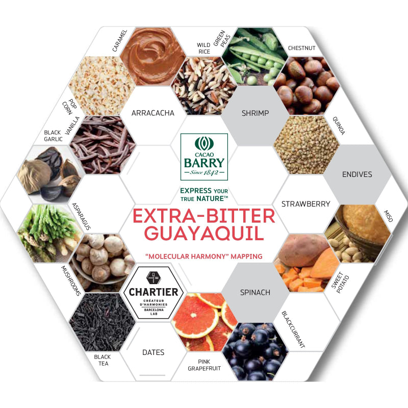 Extra-Bitter_Guayaquil_Pairings